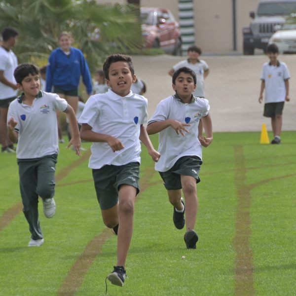 Physical Education and Sports